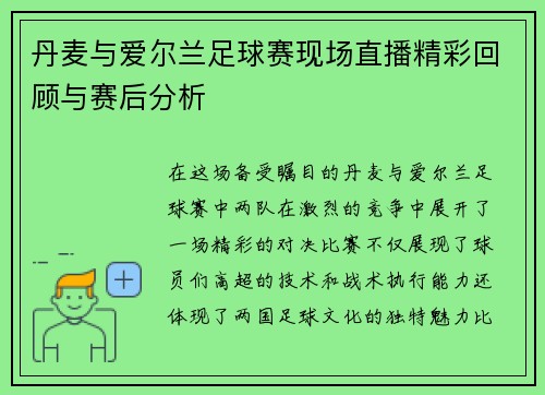 丹麦与爱尔兰足球赛现场直播精彩回顾与赛后分析
